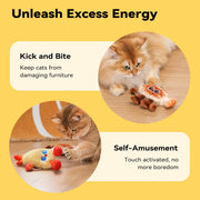 Petgravity Jumpyshrimp Taiyaki Interactive Electric Cat Toys Set, 2 Pack Automatic Jumping Moving Cat Toys with Built-In Motor, Fun Exercise Play Toys for Indoor Cats Kitten, Summervibes, Petlovers